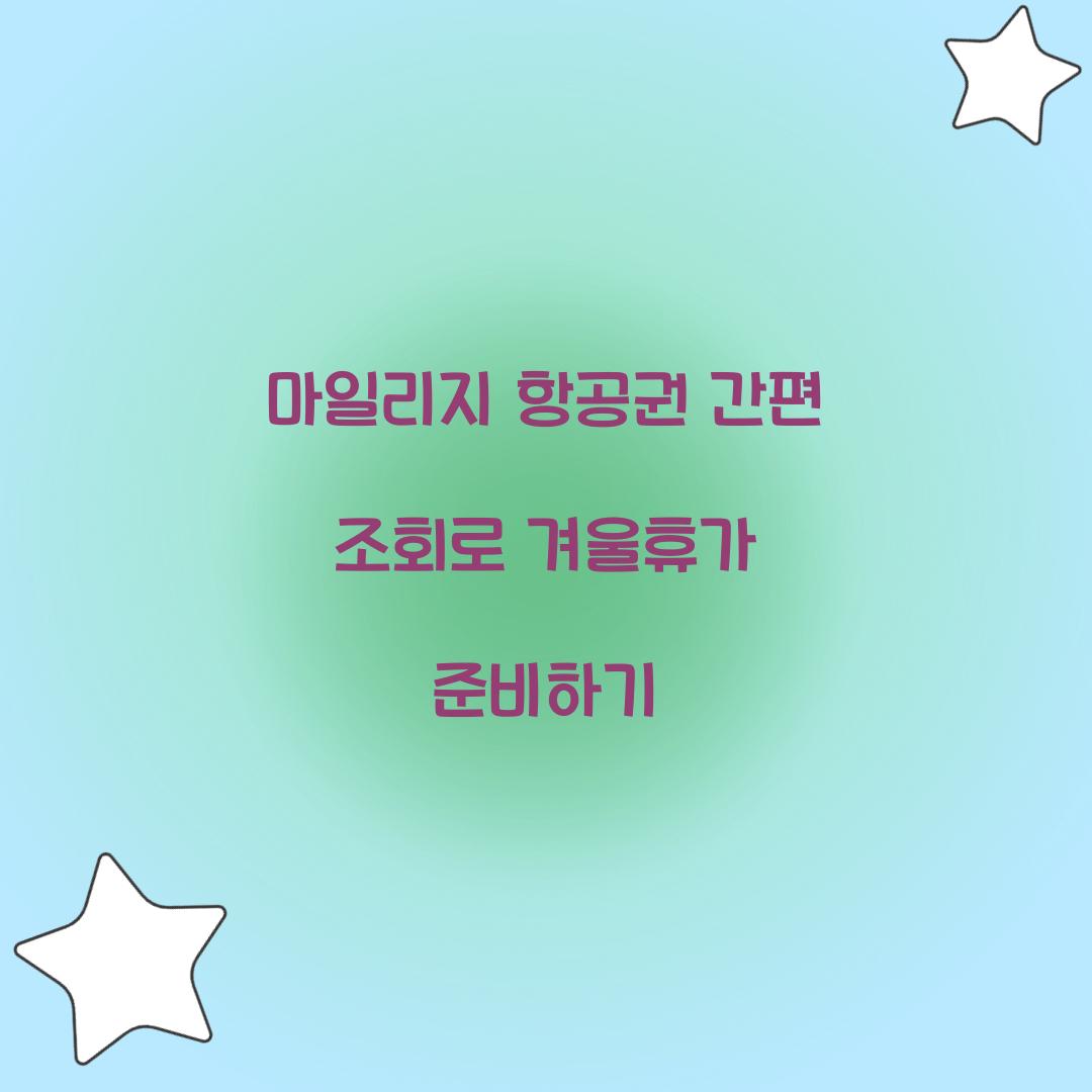 마일리지 항공권 간편 조회