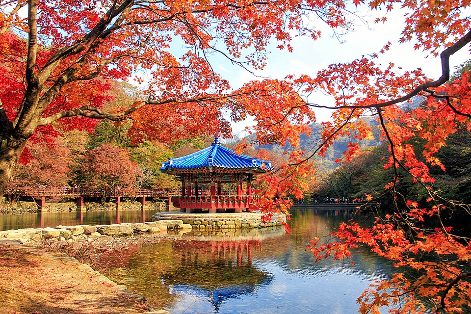 2016년 가을 내장산 우화정과 붉은 단풍의 과거 풍경
