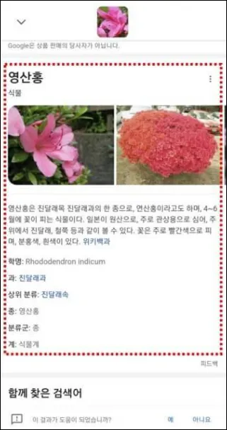 구글-렌즈-검색결과