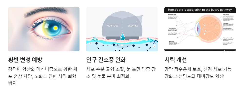 눈건강보호