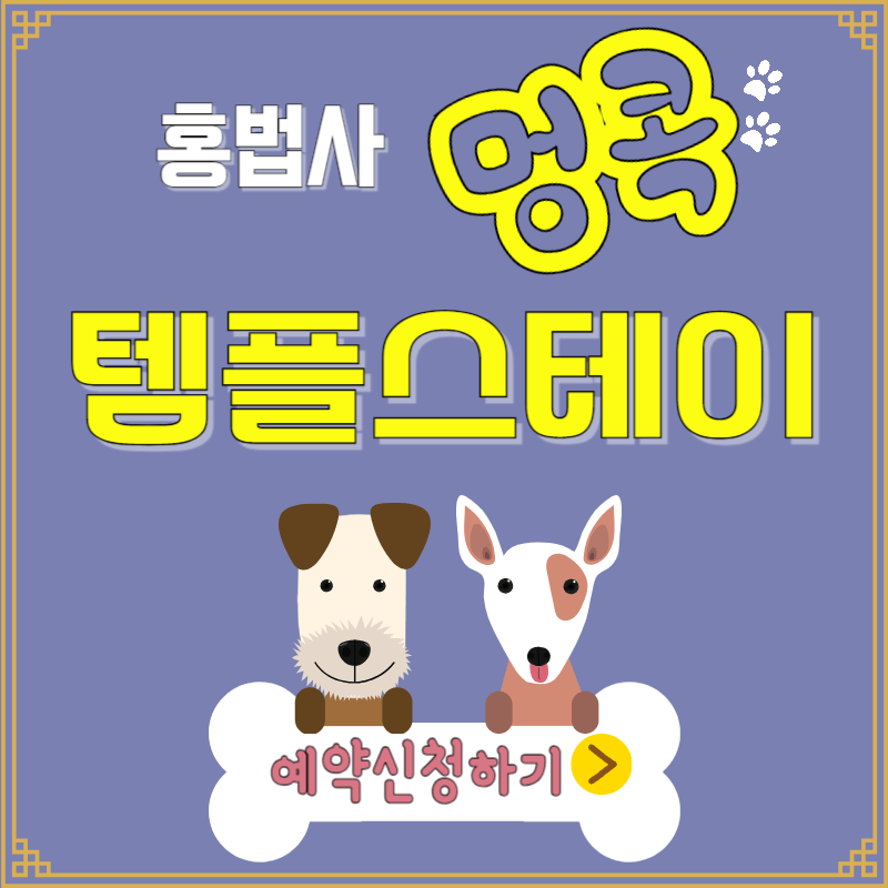 홍법사 멍콕 템플스테이 신청 안내