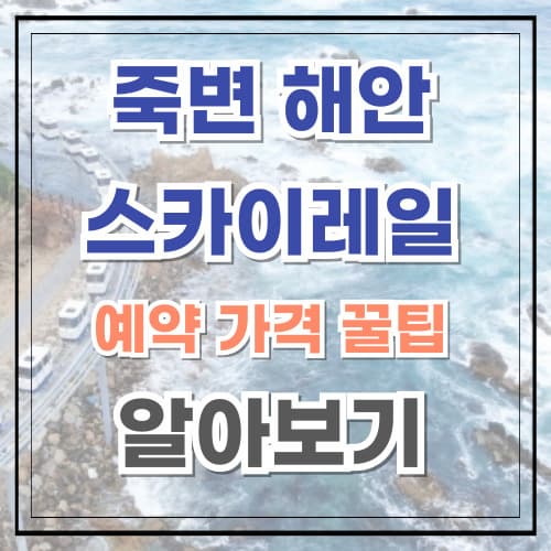 죽변 해안 스카이레일 예약 가격 꿀팁 알아보기