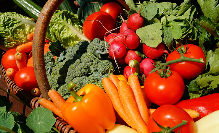 눈에 좋은 눈 건강 음식 녹황색 과채