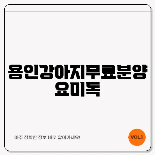 용인강아지무료분양 요미독