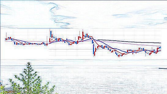 주식투자일반원칙예시