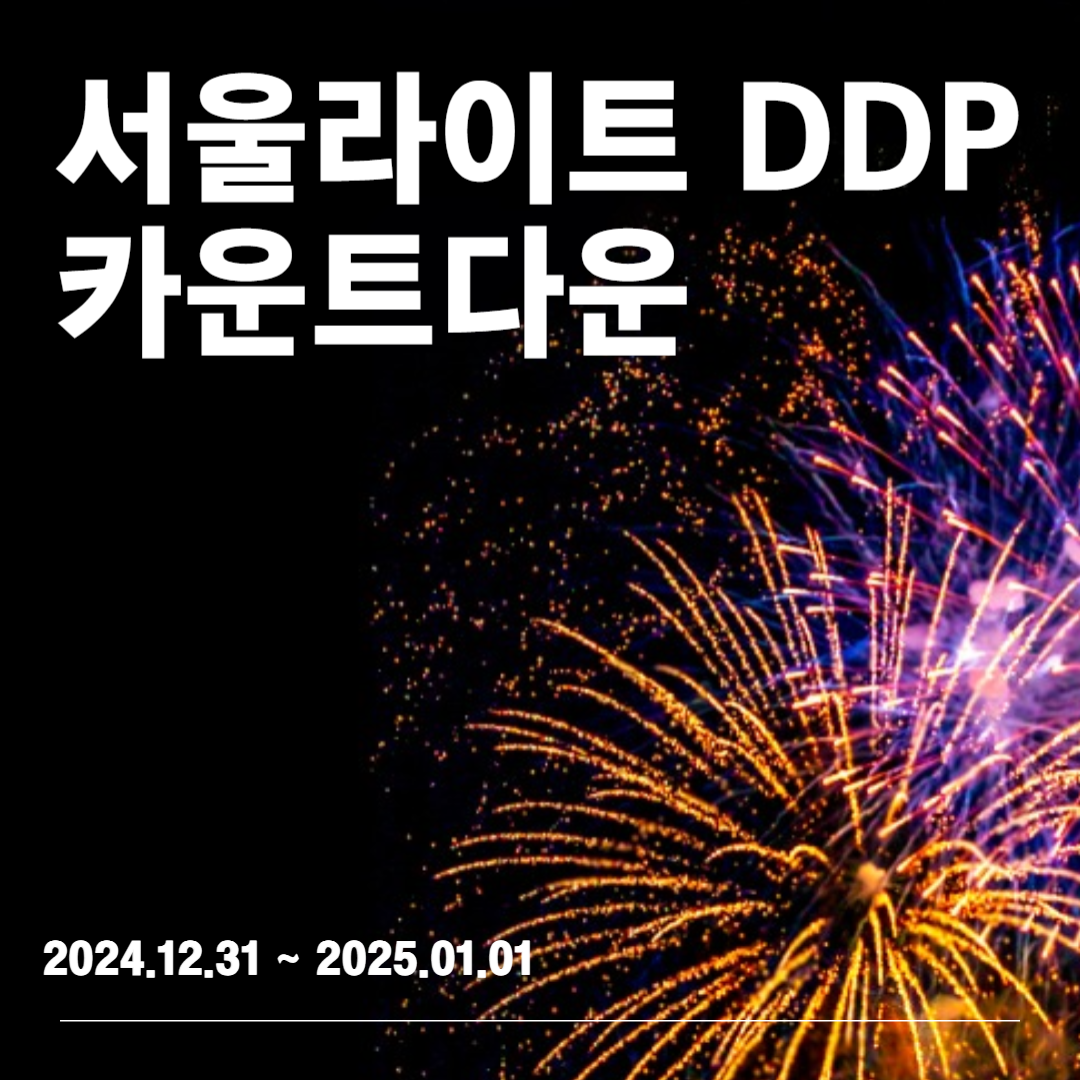 서울라이트 DDP : 카운트다운 ❘ 2024.12.31 ~ 2025.01.01