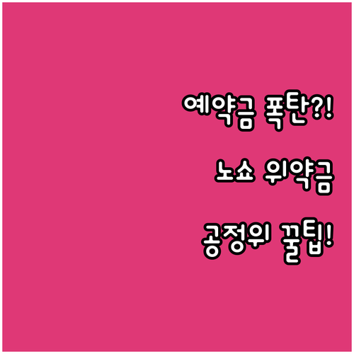 호텔 예약금 노쇼 위약금 공정위 분쟁..