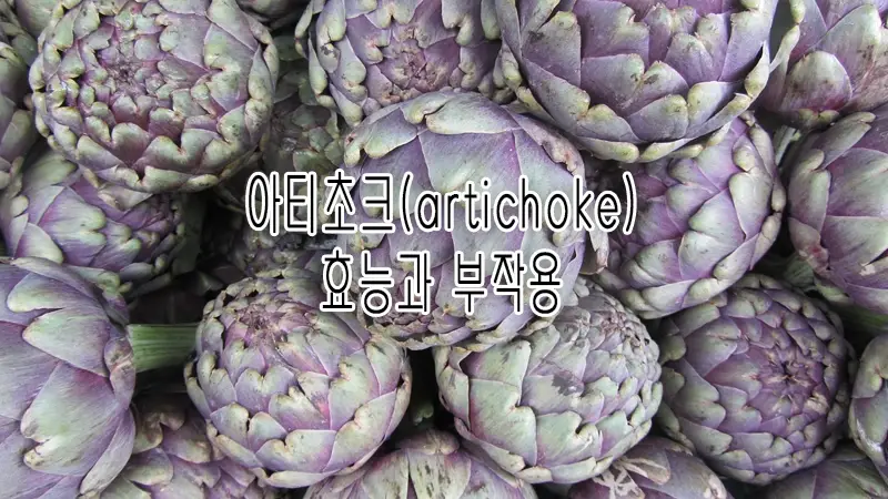 아티초크 효능과 부작용 잠재적인 이점과 주의사항