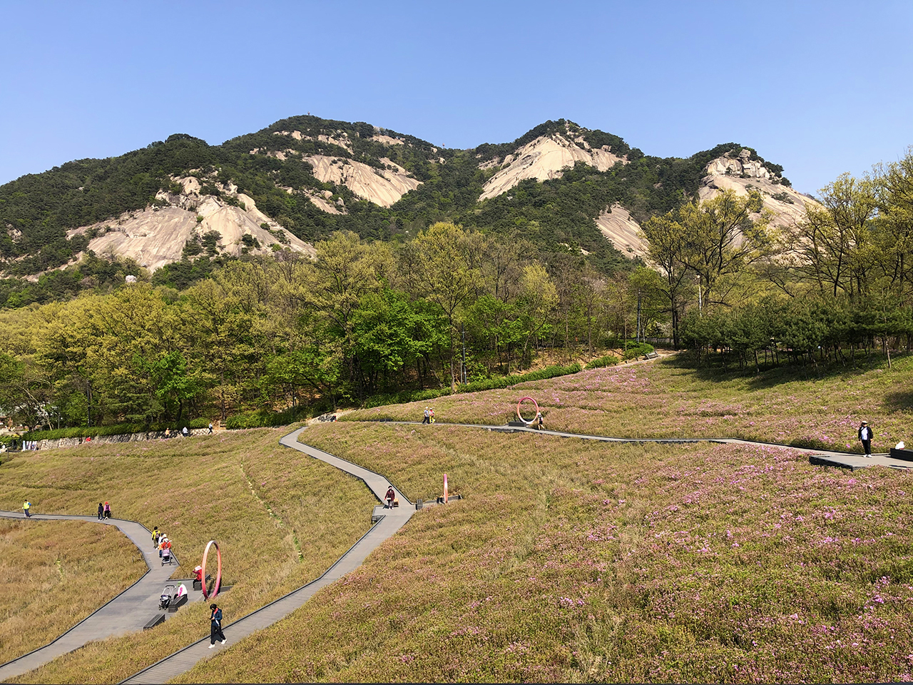 철쭉동산 전망대 뷰