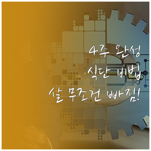 4주 다이어트 성공을 위한 단계별 목..