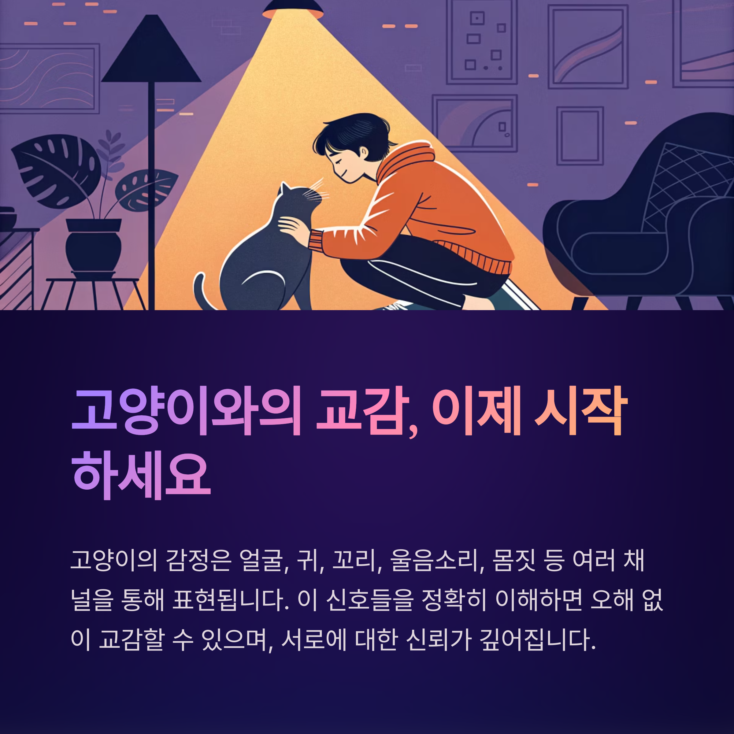 고양이와의 교감, 이제 시작 하세요