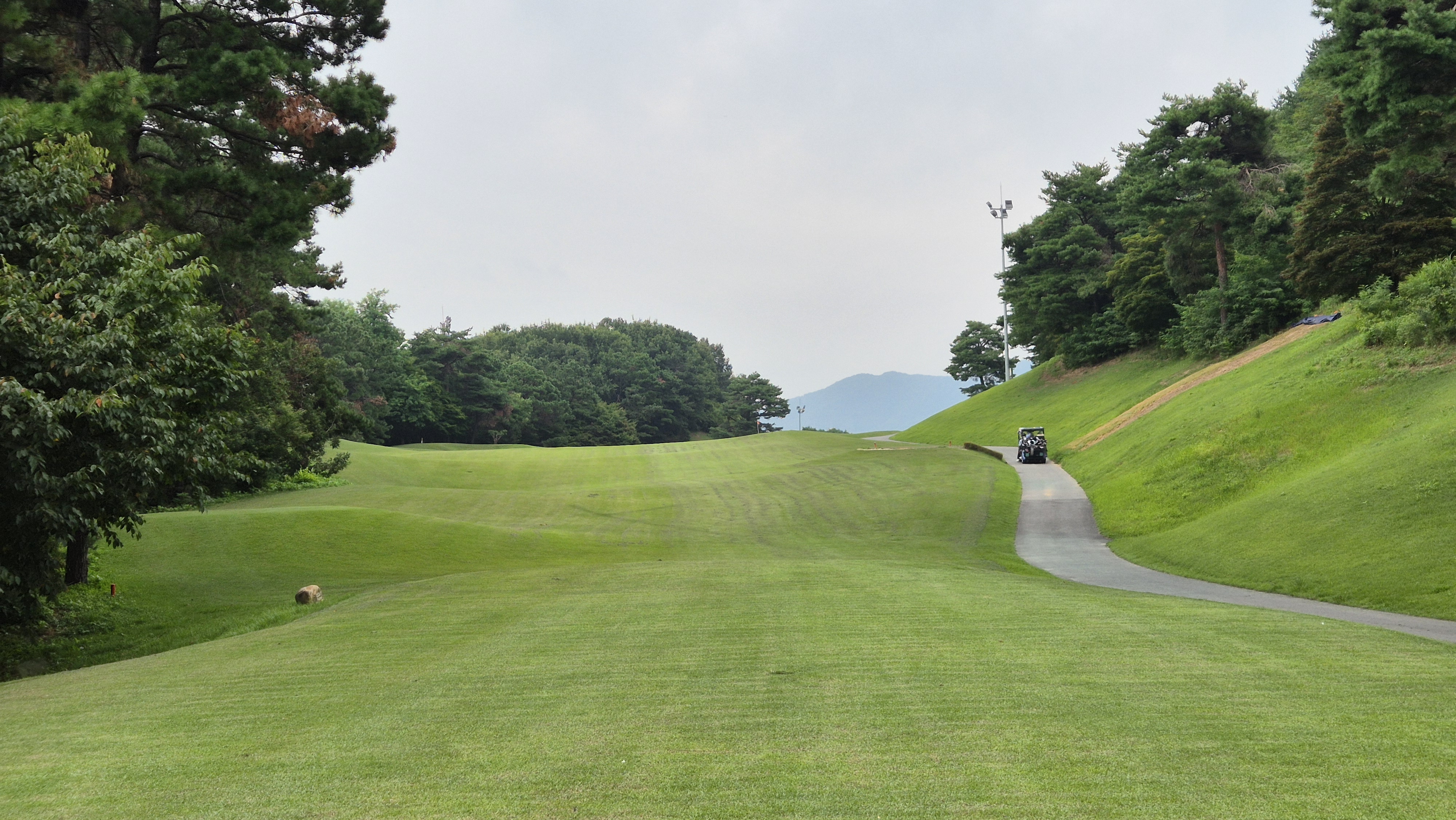 한림용인cc 다이아몬드-사파이어 코스 사진 및 공략 정보