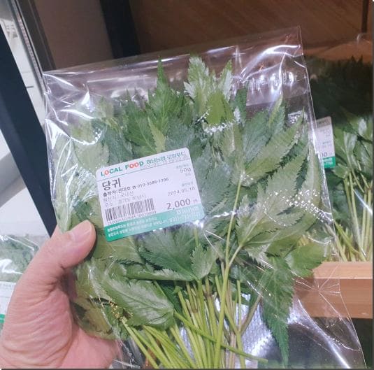 참당귀 효능 및 당귀의 종류, 먹는 법과 주의점