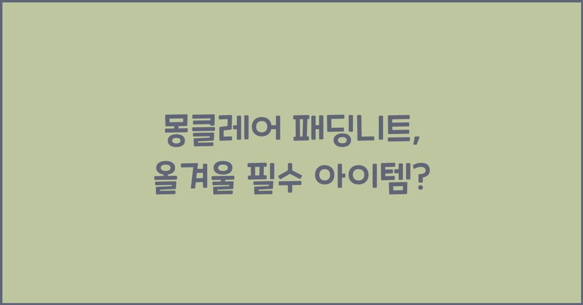 몽클레어 패딩니트