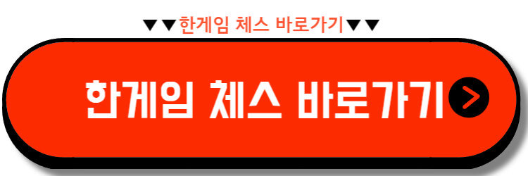 체스 두는 법