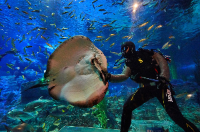 씨라이프부산아쿠아리움