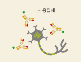 에이비엘바이오