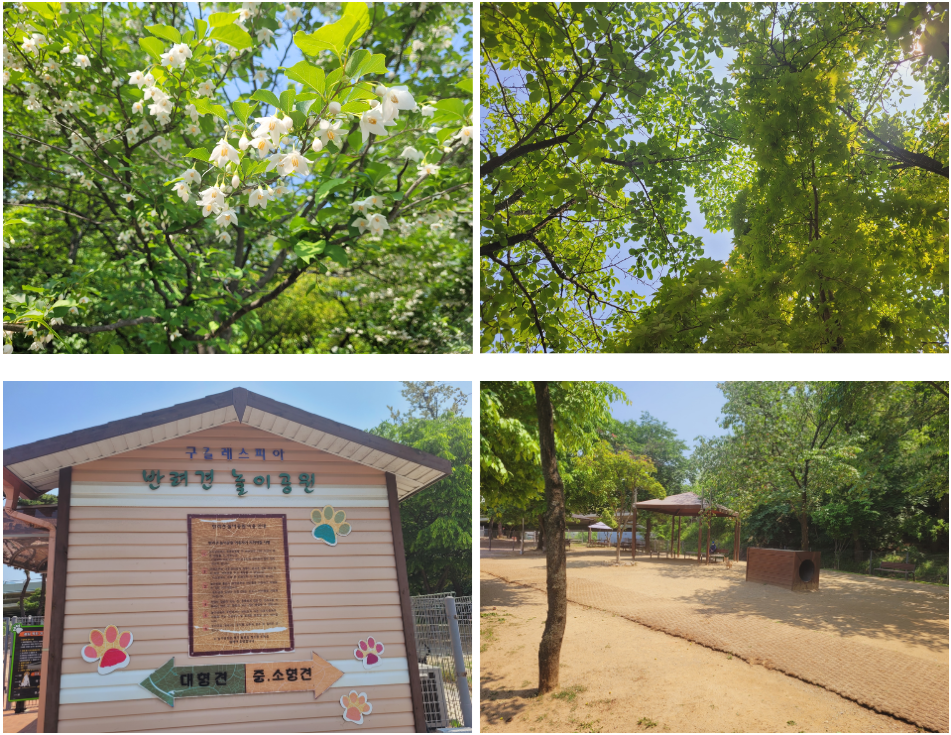 구갈레스피아 반려견놀이공원