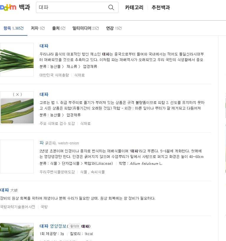 식재총람에 기록된 대파의 유래와 재배 역사 설명