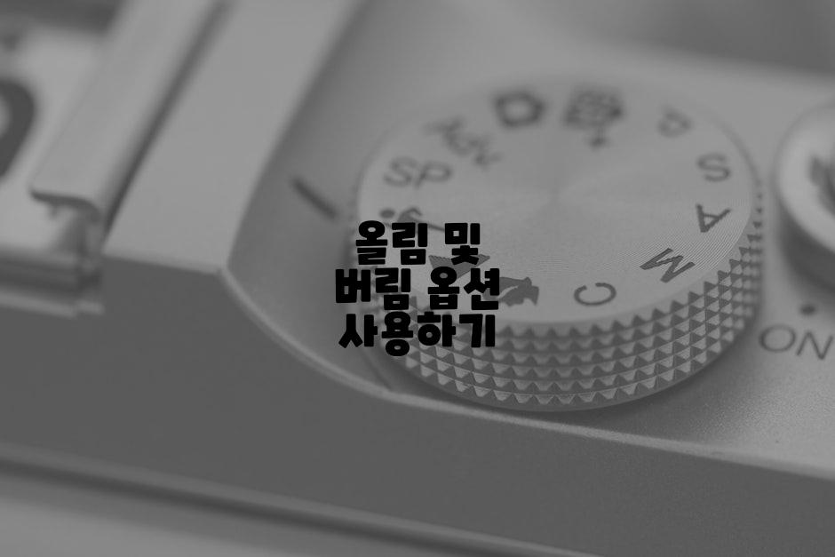 올림 및 버림 옵션 사용하기