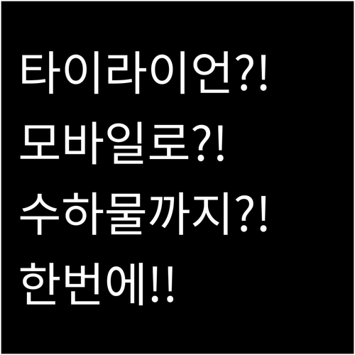 타이라이언에어 모바일 탑승권부터 수하..