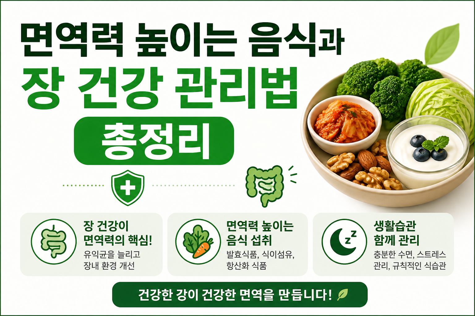 면역력 높이는 음식과 장 건강 관리법 총정리 -사진-