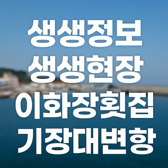 생생정보 생생현장 이화장횟집 기장 대변항 멸치맛집 2025기장멸치축제