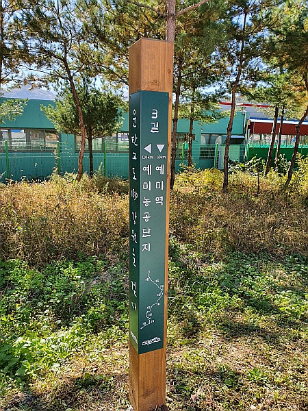 정선군 운탄고도1330