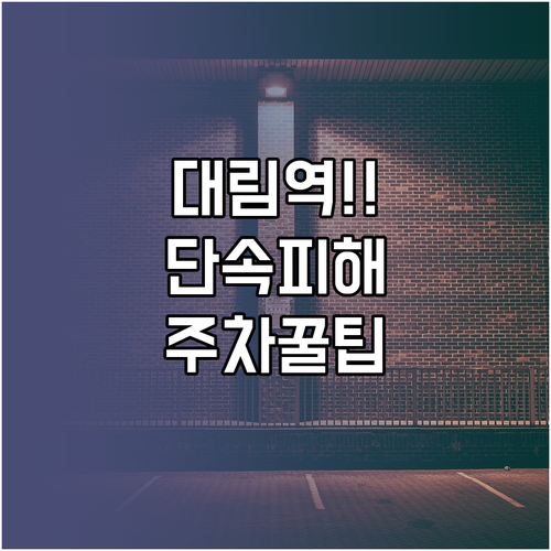 대림역 주정차 단속 알림 및 공영주차..