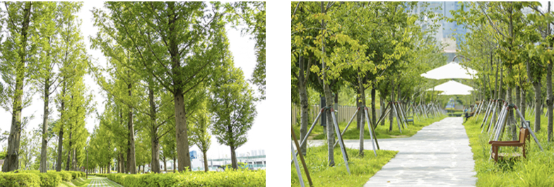 부산시민공원 텐트