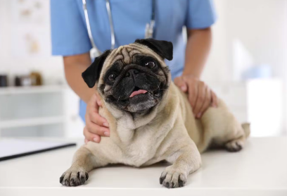 내가 진찰받고 있는 개