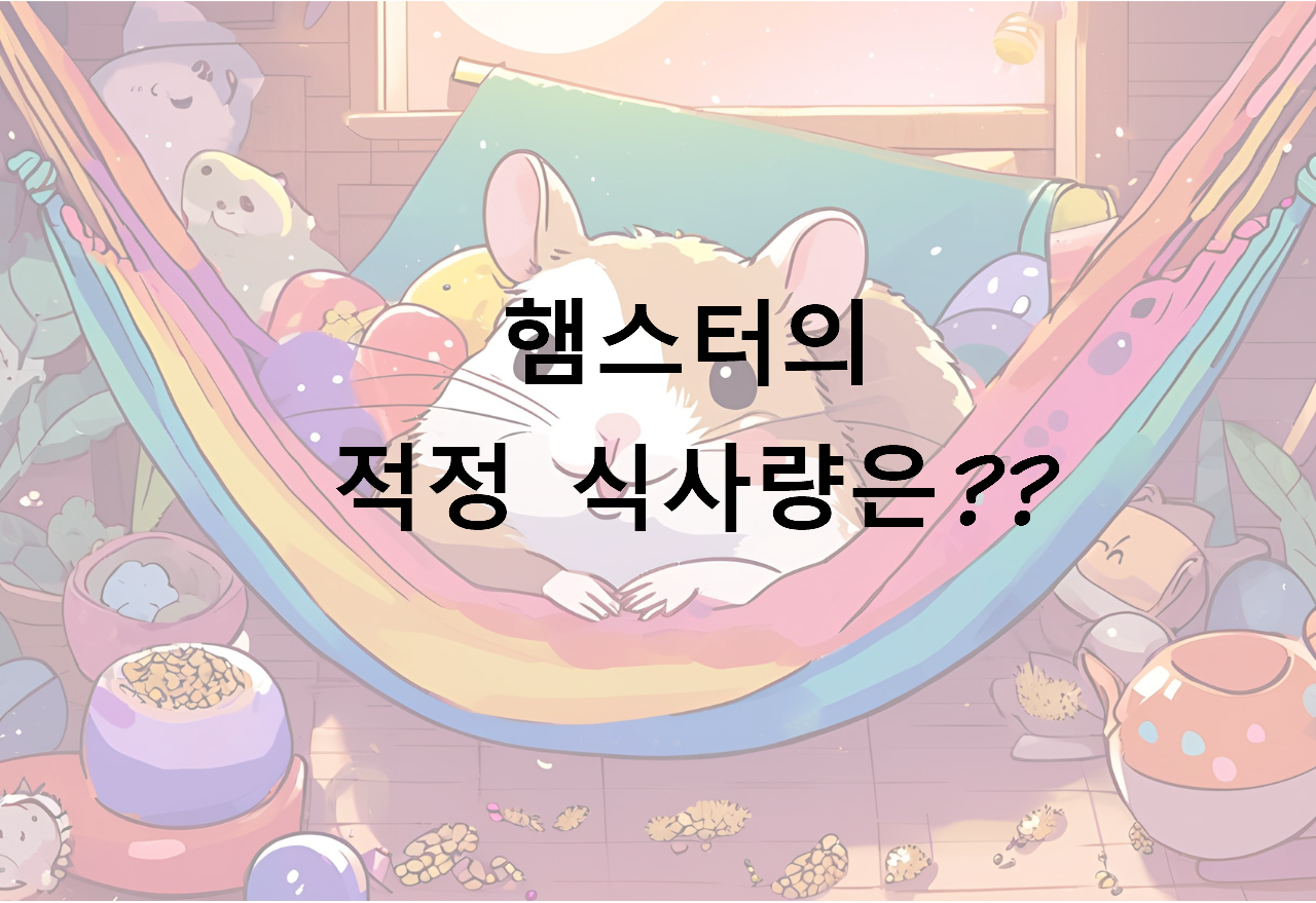 햄스터의 적정 식사량은??