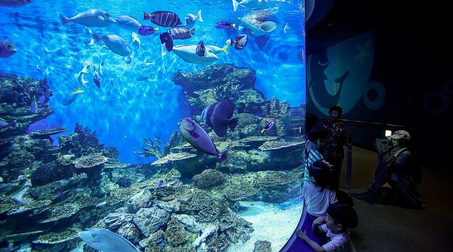 초등저학년 겨울방학 국내여행 추천지 BEST &mdash; 실내체험&middot;눈썰매&middot;힐링까지 완벽 정리