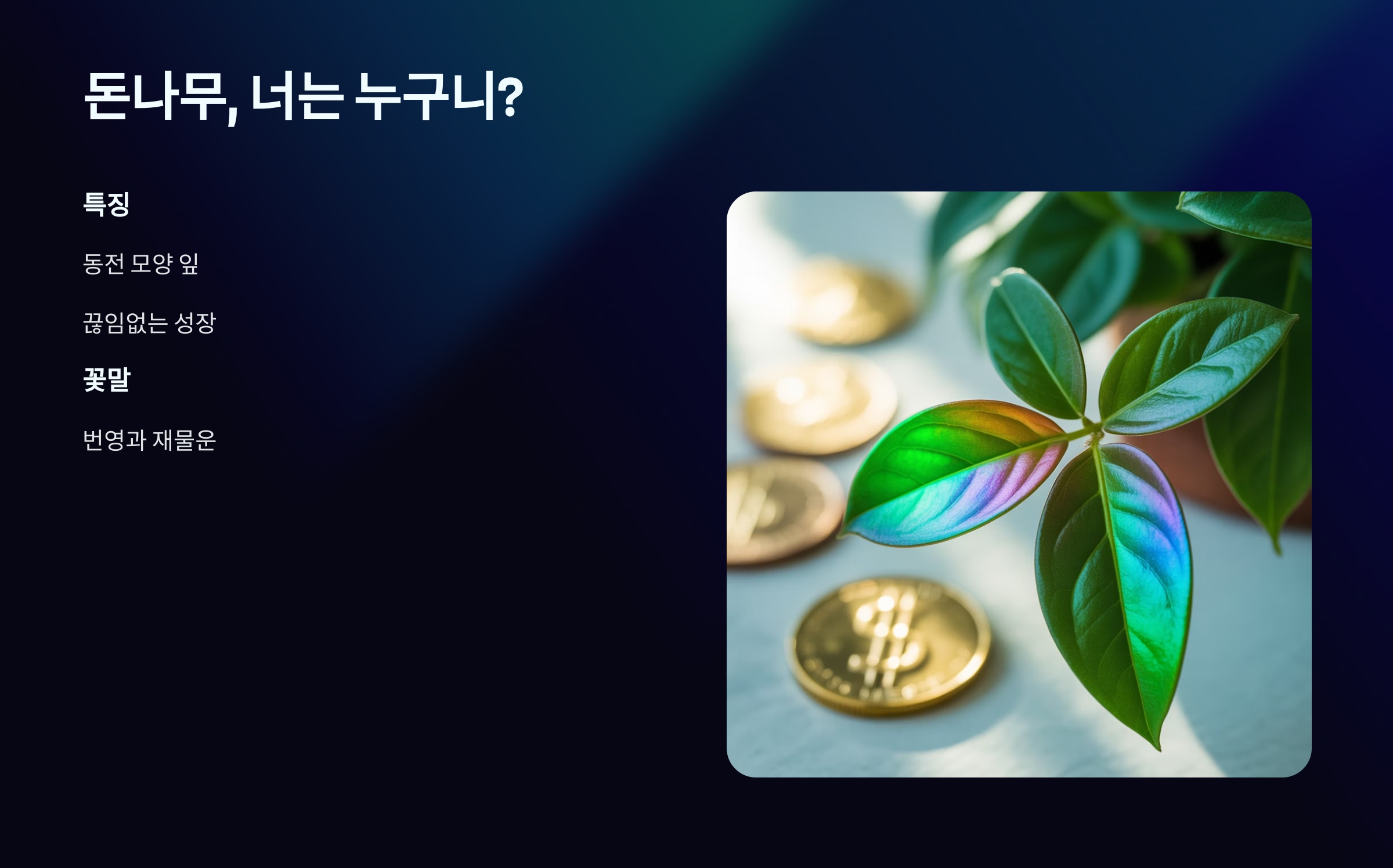 금전수, 너는 누구니? (특징과 꽃말)