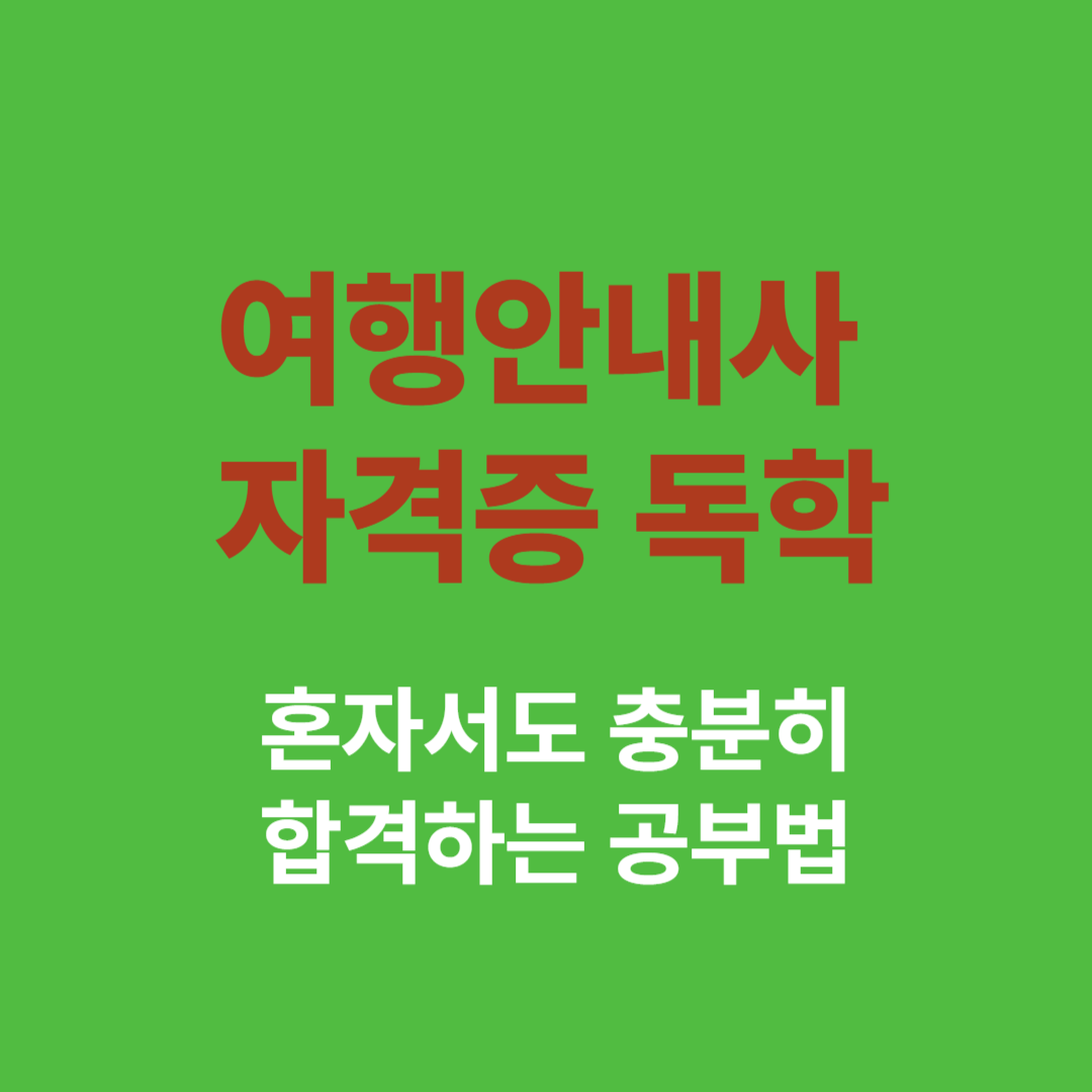 국내여행안내사 자격증 독학으로 준비하는 공부 전략