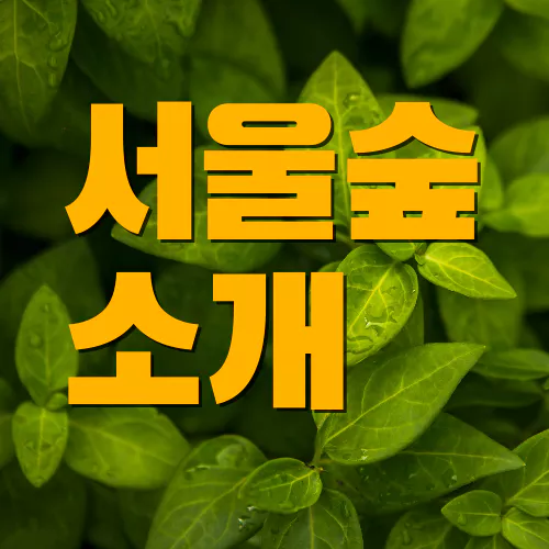 서울숲
