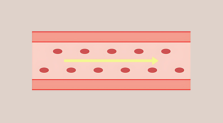 순환이-잘-되는-혈관의-모습