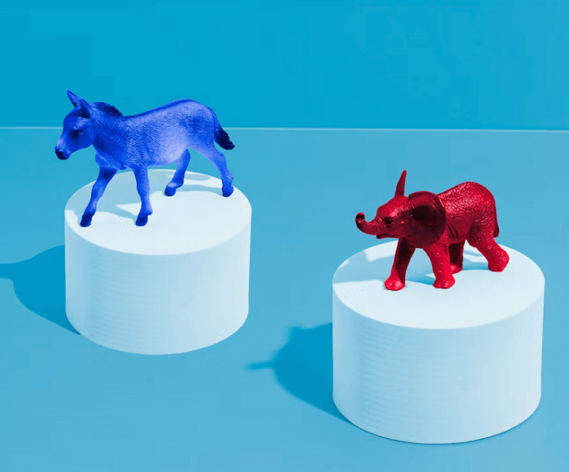 2025 대선 사전투표 일정, 나이, 장소 찾기