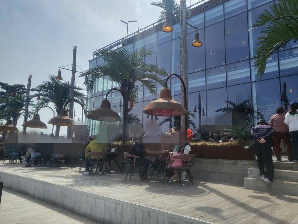 로드1950-야외석2