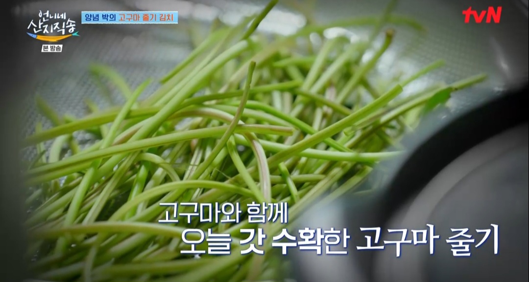 언니네산지직송 박준면 고구마줄기김치 레시피