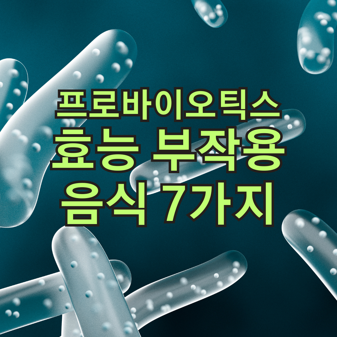 프로바이오틱스 효능과 부작용, 먹는 시간(복용 시간), 아연, 프로바이오틱스가 많은 음식 7가지 추천
