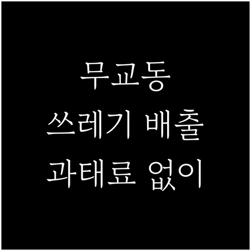 무교동 쓰레기 배출 완벽 정리 과태료..
