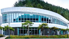 경북 울진 금강송 에코리움: 살아있는 금강송 숲에서 즐기는 힐링 스테이! (동해)