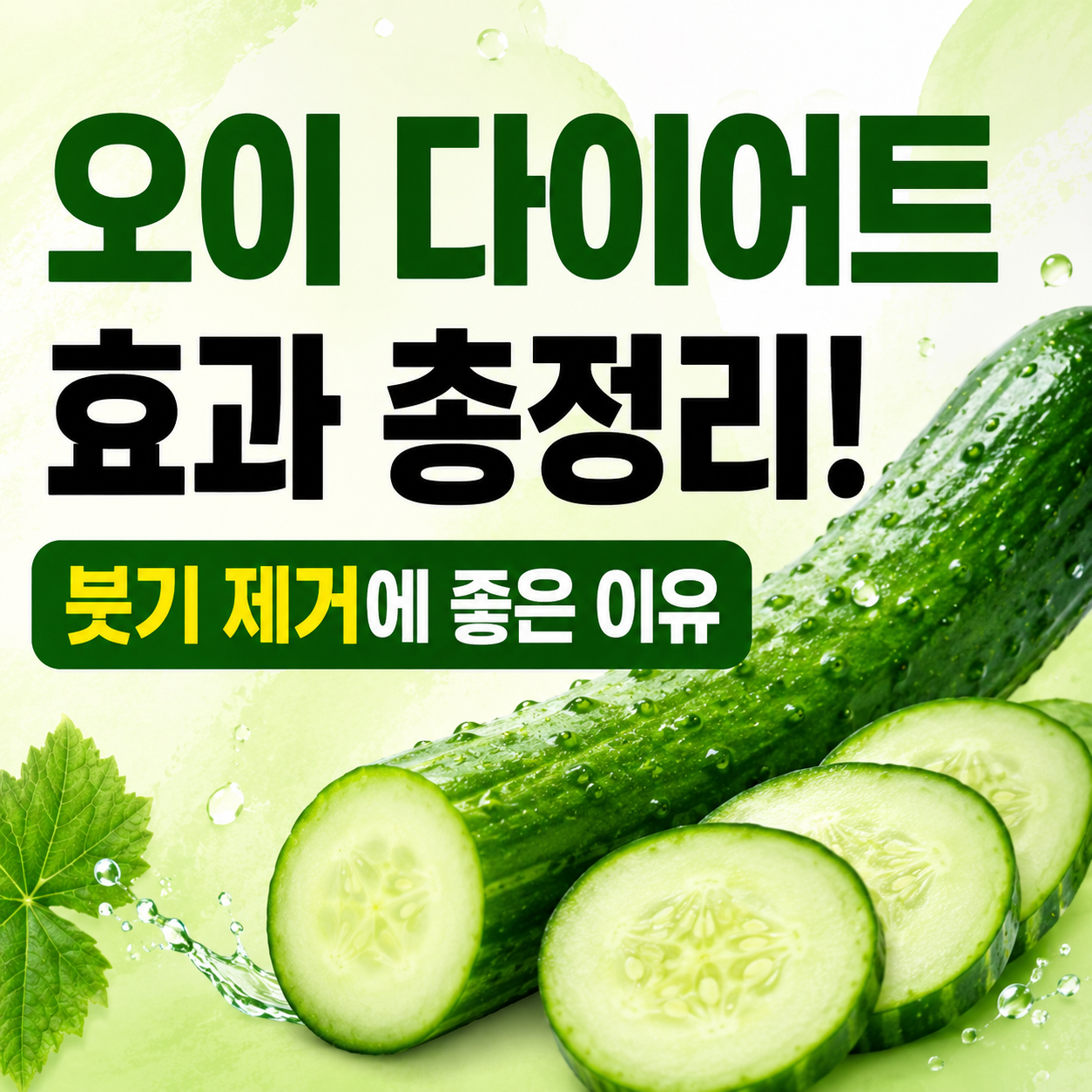 오이 다이어트