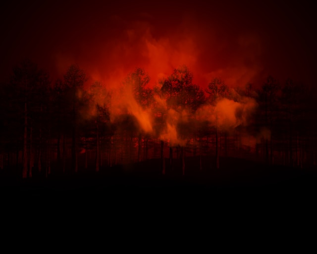 재해위로금지급