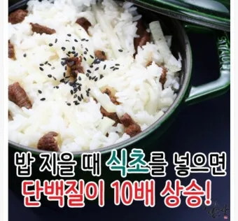 밥할 때 식초 넣는 이유와 효과 및 적정량 정리_6