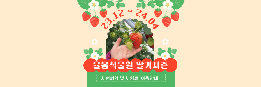율봄식물원 딸기시즌
