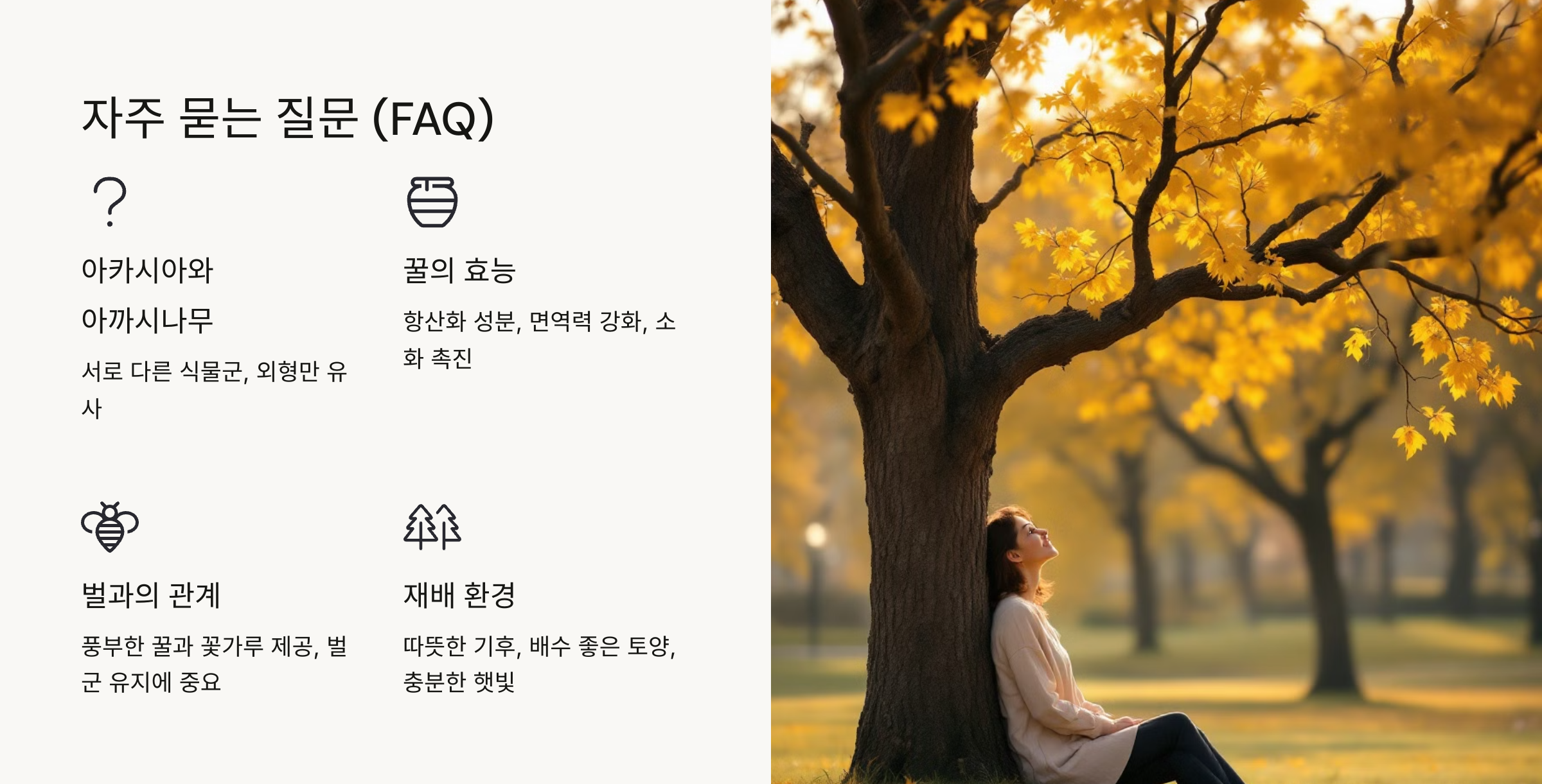 아카시아 꽃
