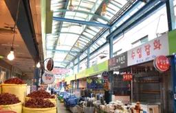 2025 서울 민생회복 소비쿠폰 지역화폐 카드