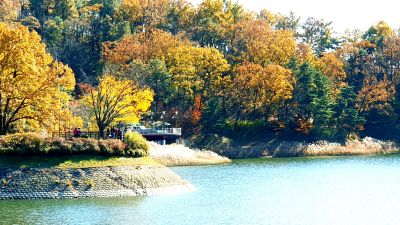 청남대 홈페이지 포토갤러리 이미지